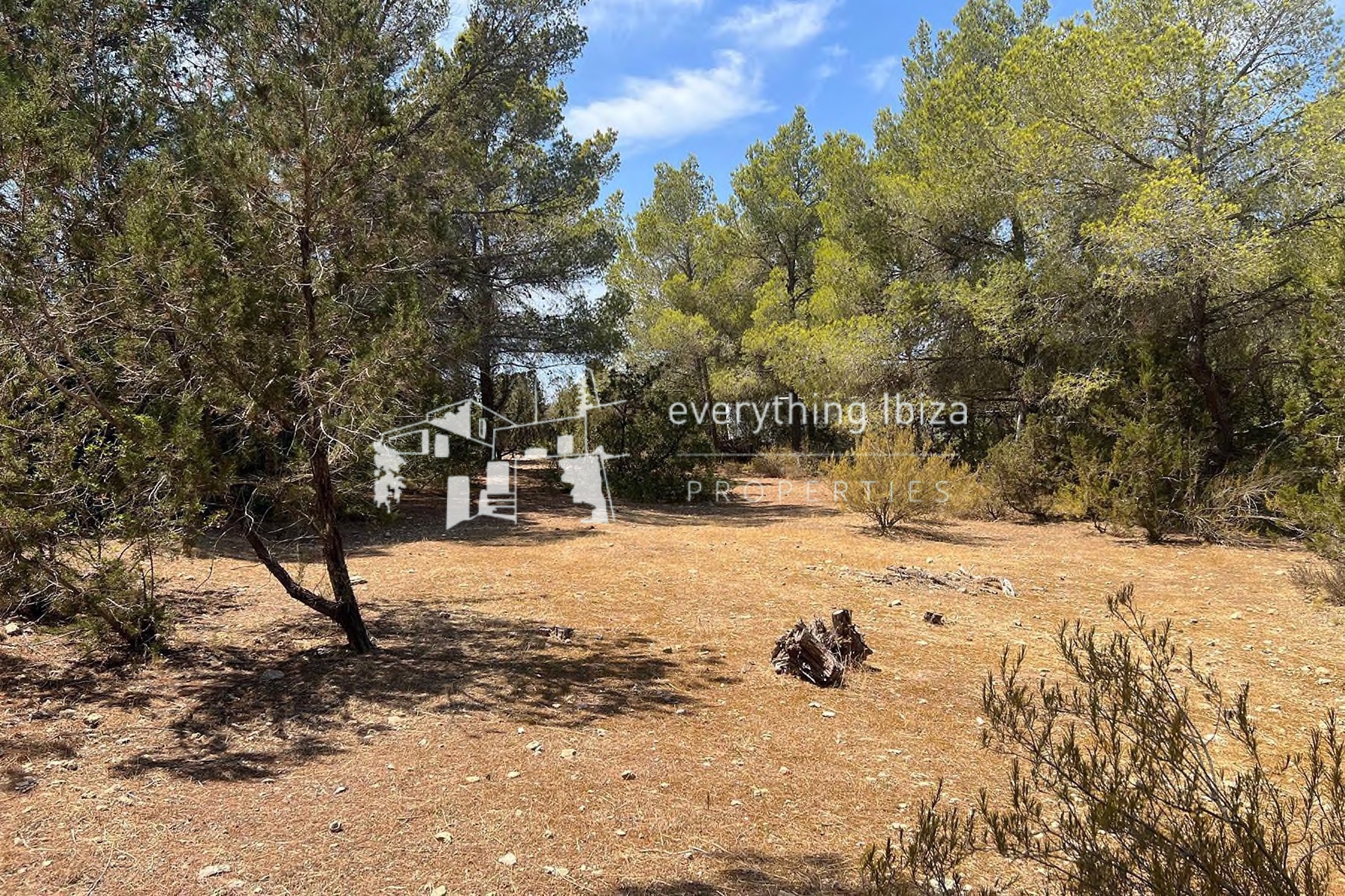 Mediterranean Style Villa on a Large Country Plot Oozing Charm and Character in Ibiza